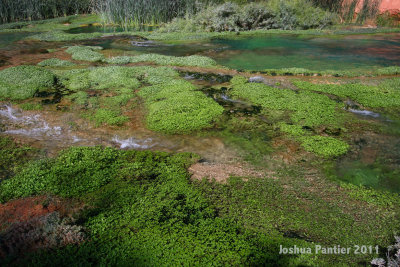 Havasu Falls 030.jpg