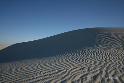 RoadTrip2012019.jpg