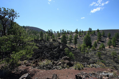 northaz2012