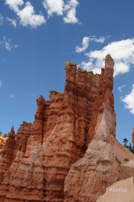 BryceZion2012008.jpg