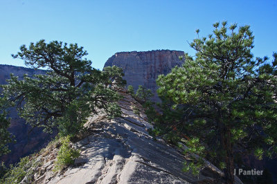 BryceZion2012022.jpg