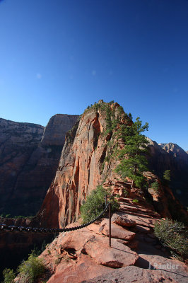 BryceZion2012023.jpg