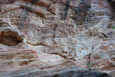 BryceZion2012040.jpg