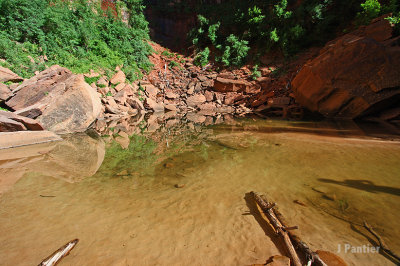 BryceZion2012044.jpg