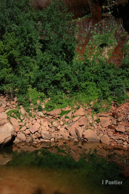 BryceZion2012049.jpg