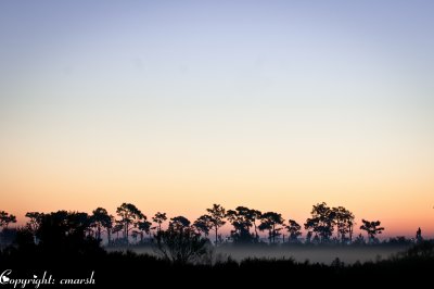 CLM_3649.jpg   Sunrise