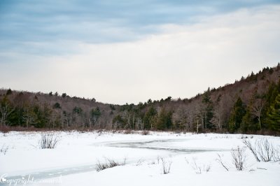 CLM_3789.jpg A River Runs Through It