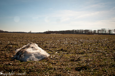 CLM_3823.jpg Last Snow