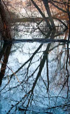 CLM_3953.jpg Morning Reflection