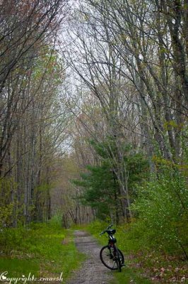 CLM_4151.jpg Bike Path