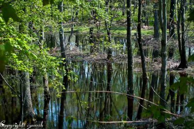 CLM_4263.jpg Reflection