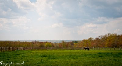 CLM_4306.jpg Bucolic Spring