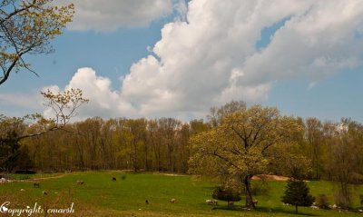 CLM_4308.jpg