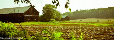 DSC_0002.jpg
