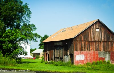 DSC_0005.jpg