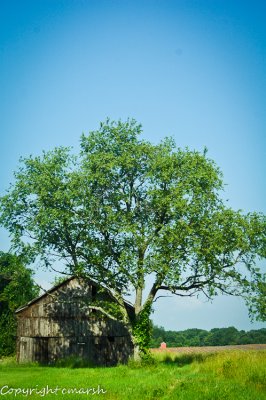 DSC_0006.jpg