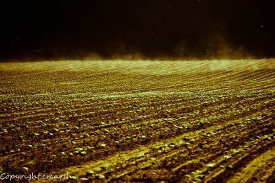 DSC_0007.jpg