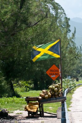 Jamaica - 2011 - Hellshire