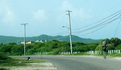 CLM_5242.jpg