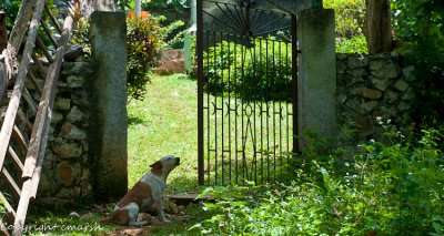 CLM_5367.jpg The Sentry