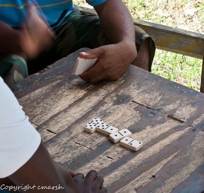 CLM_5707.jpg - Dominoes