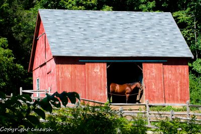 Lazy Summer Days In CT