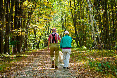 CLM_7938.jpg - The Golden Years