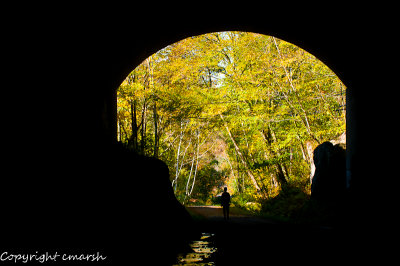 CLM_7949.jpg - Exeunt Into The Light