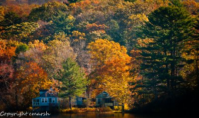 CLM_8152.jpg - Colors