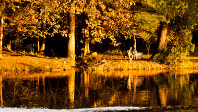 CLM_8180.jpg - On Golden Pond