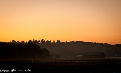 CLM_8202.jpg - Dawn On The Farm III