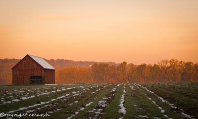 CLM_8241.jpg - Dawn On The Farm