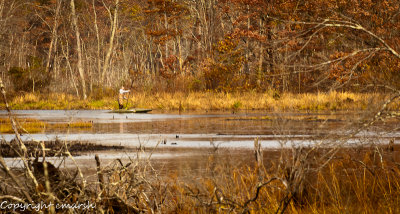 CLM_8303.jpg - The Paddler II