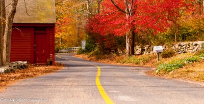 CLM_8310.jpg - Country Road