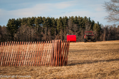 CLM_9348.jpg - Untitled