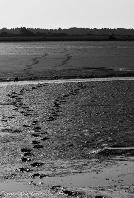 CLM_0050.jpg - Footprints