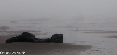 CLM_0067.jpg - ...and then the fog rolled in ... Gulls In The Fog