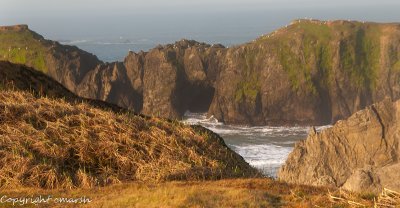 CLM_0096.jpg - Golden Dawn II