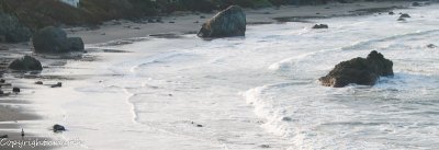 CLM_0101.jpg - Morning Run