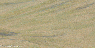 CLM_9918.jpg - Sand