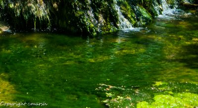 CLM_0403.jpg - Emerald Pool