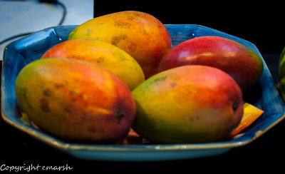 CLM_0449.jpg - Mangoes