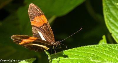 CLM_1758.jpg