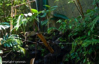 CLM_1796.jpg - Water Contraption