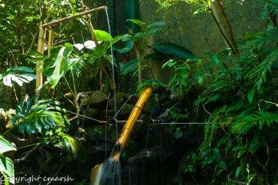 CLM_1800.jpg - Water Contraption II
