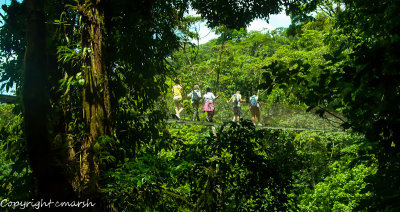 _DSC0095.jpg - Hanging Bridge IV