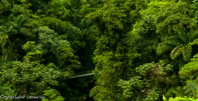 _DSC0102.jpg - Hanging Bridge