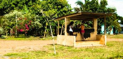 _DSC0167.jpg - Bus Stop