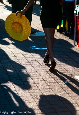 West Indian / Caribbean Celebration - 2012 - Hartford, CT