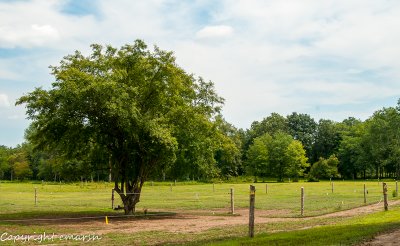 CLM_4865.jpg -  The Horse Pasture